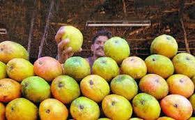 Ratnagiri Mangoes