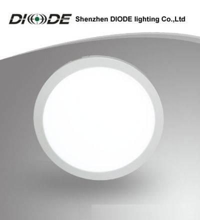 LED Ceiling Light (20W)