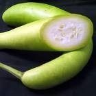 Bottle Gourd Seed Oil