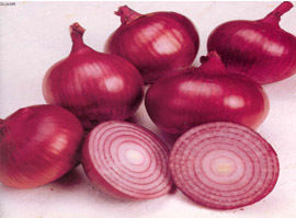 Indian Mature Red Onion