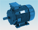 Multi Speed Motor