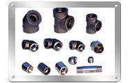 SS Forged Pipe Fittings