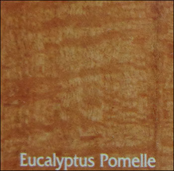 Eucalyptus Pomelle Plywood