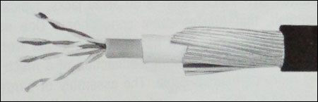 Cat 6e Utp Mhz Lan Armoured Cable