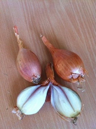 Fresh Shallots