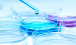Bioanalysis Services By Aaranya Biosciences Private Limited