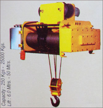 Heavy Duty Electric Hoist