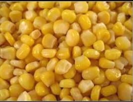 Frozen Sweet Corn - Premium Quality Frozen Sweet Corn, Nutritious & Full of Flavor