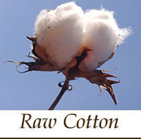 Raw Cotton