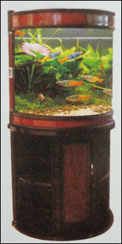 Fish Aquarium (Model No:Chct 60)