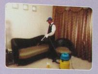 Carpet and Sofa Cleaning Services