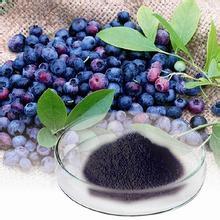 Bilberry Extract