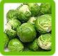 Fresh Brussel Sprouts