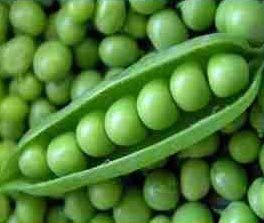 Fresh Green Peas 