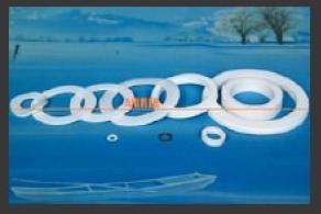 Ptfe Chemical Resistant Gaskets