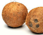 Indian Matured Coconut