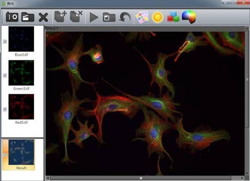 VIMAGE Lite/ Pro Microscopy Imaging Software