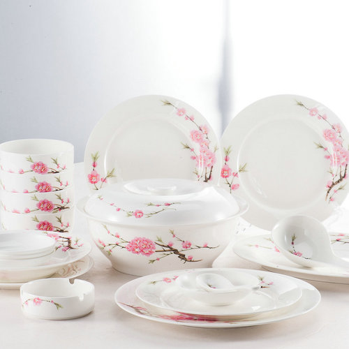 Elegant Design Porcelain Dinner Set