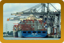 Non Vessel Operator Container Carrier Service