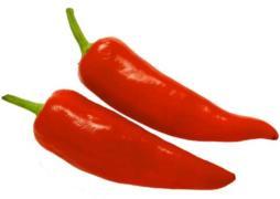 Capsicum (0.25 mill to 4 mill SHU)