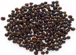 Black Pepper (10 to 50% piperine, 5 to 25% VO)