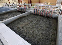 Waste Treatment And Disposal System