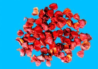 Dried Gac Fruit Pulp (Aril)