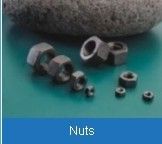 Hex Nut