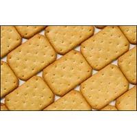 Salted Biscuit