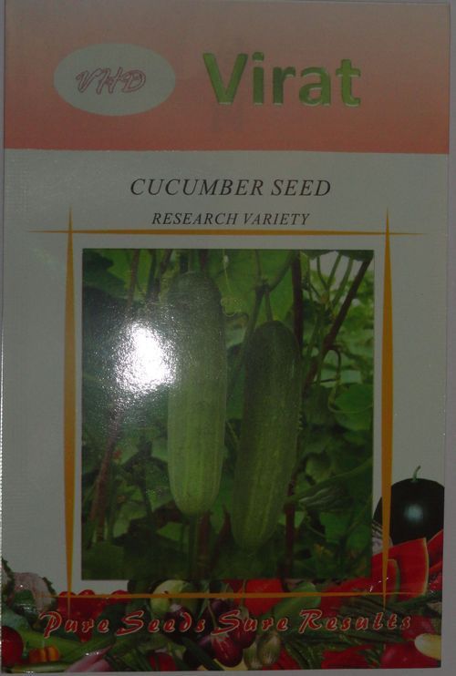 Cucumber Seeds