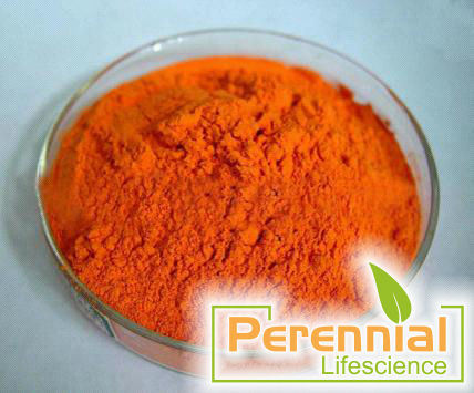 Curcumin Extract