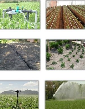 Horticulture Irrigation Service