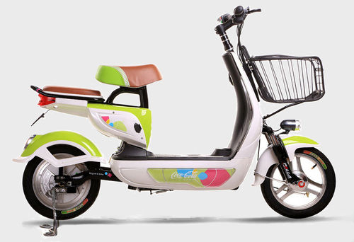 Electric Bicycle (RK-B1308)