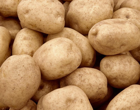 Potato