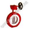 Ptfe Fep Butterfly Valve