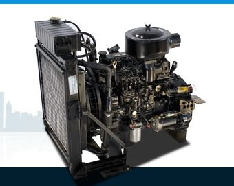 Diesel Generator Set (35 Kva)