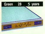 Green Color Mattress