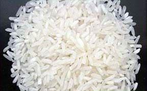 Swarna Masuri Raw Rice