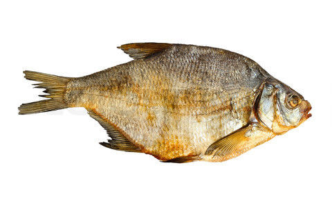 Dry Sea Fish