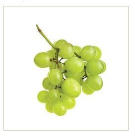 Fresh Green Grapes - Organic Cultivation for Healthy Juices | Deliciously Mellow Flavor, Pocket-Friendly Option