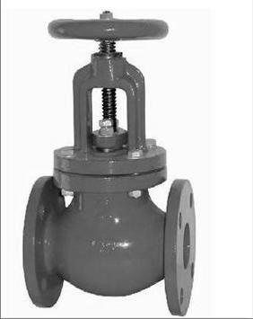 Globe Valve