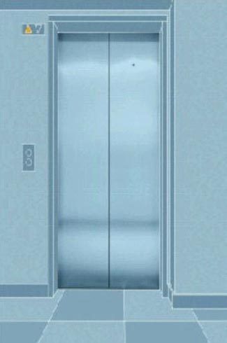 Auto Door Elevator