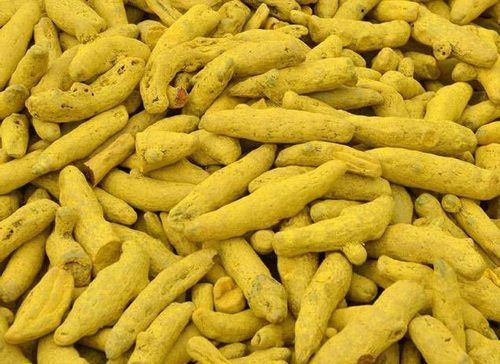  Turmeric Finger