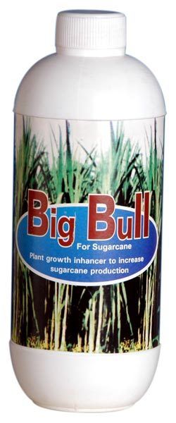 Big Bull (Sugar Cane) Fungicide