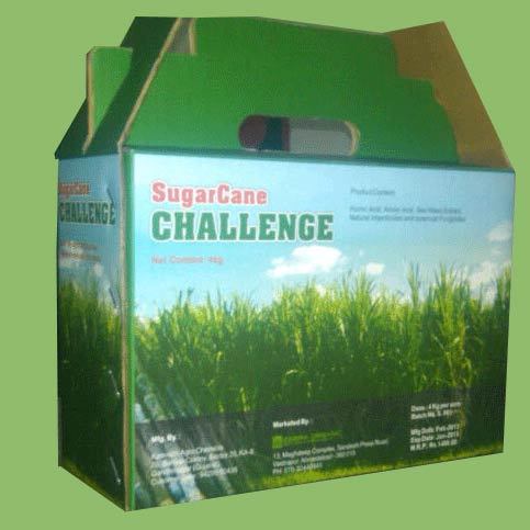 Sugarcane Challenge