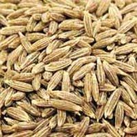 Cumin Seeds