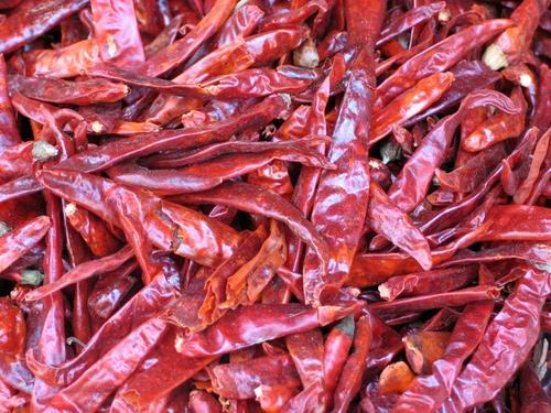 Dried Red Chilli