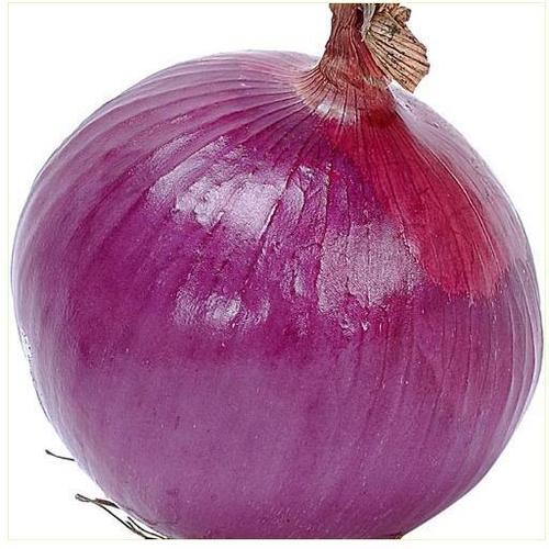 Fresh Onion