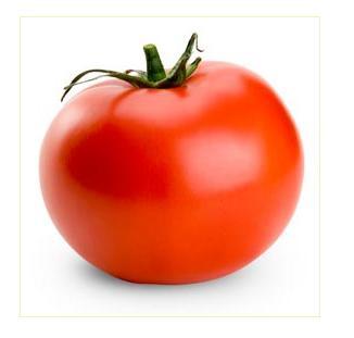 Fresh Tomato