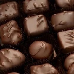 Plain Chocolates